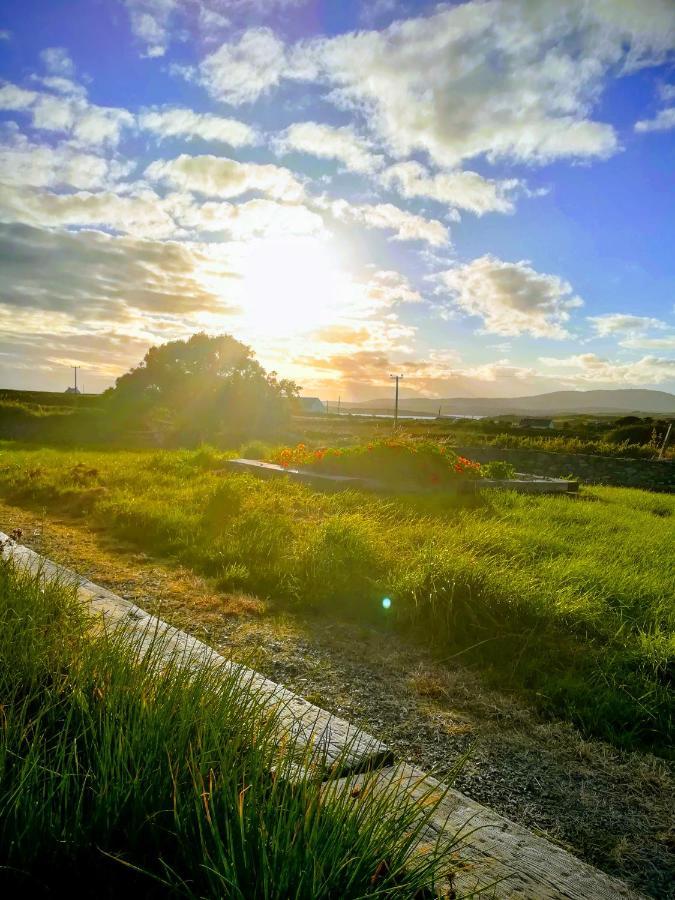 Heir Island House Bed & Breakfast Skibbereen Bagian luar foto