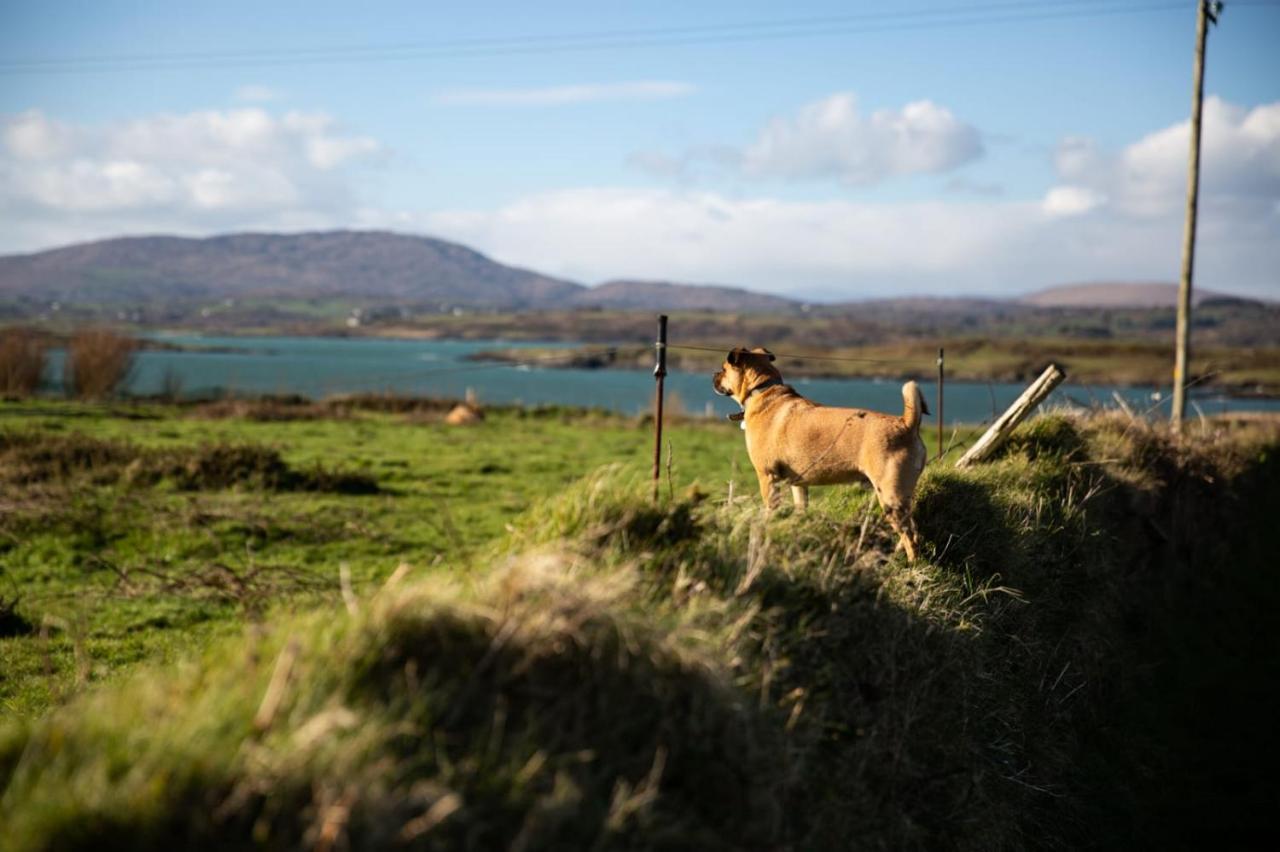 Heir Island House Bed & Breakfast Skibbereen Bagian luar foto